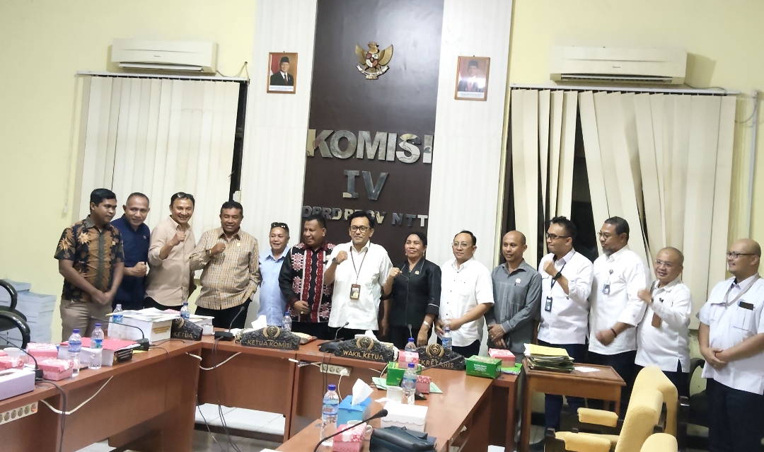 DPRD NTT Minta BPJN NTT Tangani Pelebaran Jalan Waingapu–Melolo di Sumba Timur