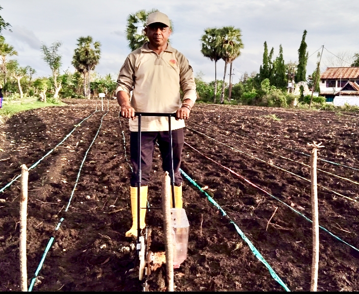 UPTD Kesos Tuna Netra Hitbia dan Karya Wanita Olah 2,5 Hektare Lahan untuk Tanam Jagung