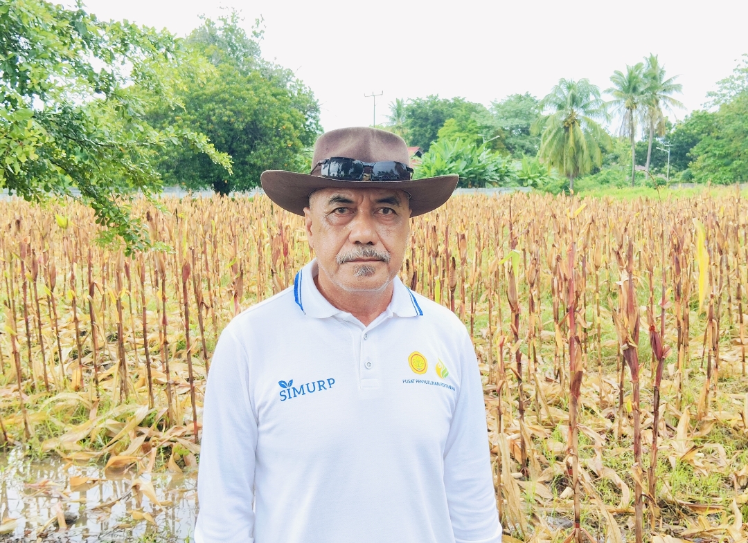 Perkuat Ketahanan Pangan, Penyuluh Pertanian Siap Dampingi Petani di NTT