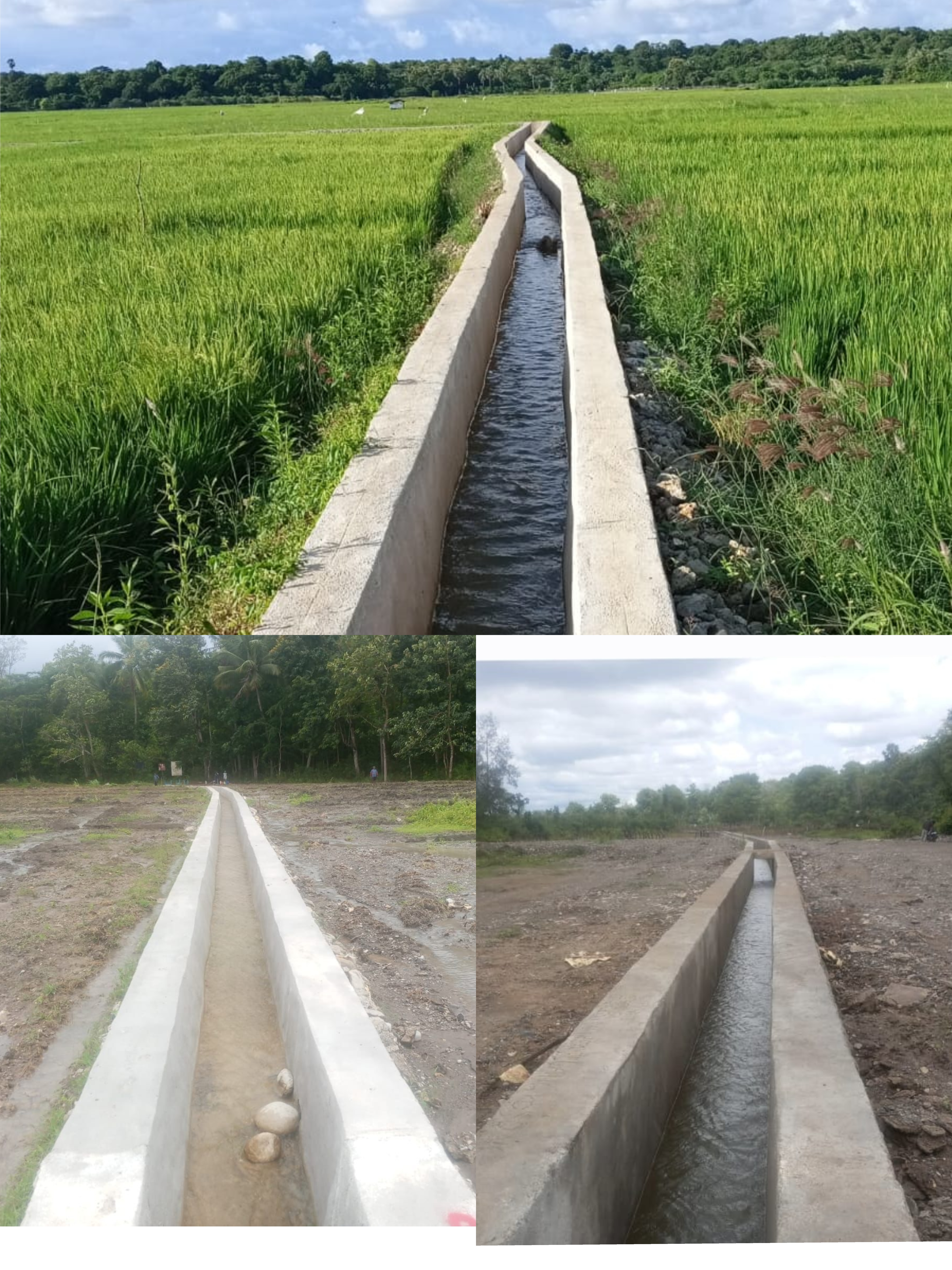Peningkatan  dan Rehabilitasi Jaringan Irigasi Melalui Inpres Irigasi Tahap III di NTT Rampung Dikerjakan 
