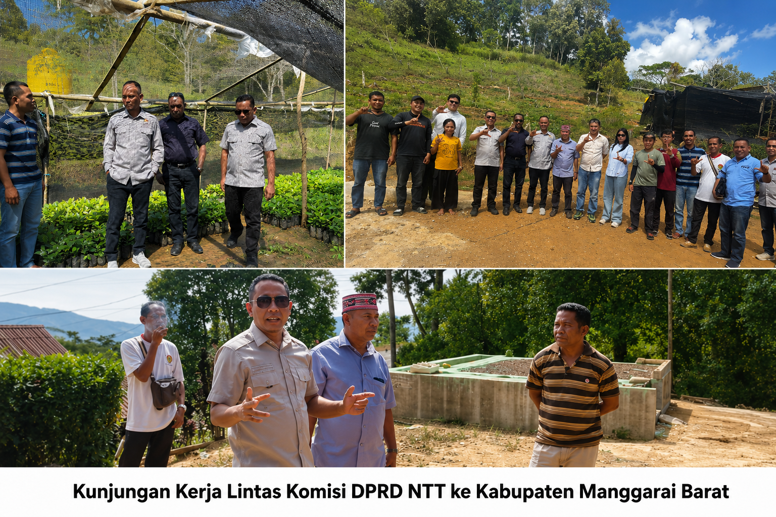 DPRD NTT Dorong Lahan Pemprov di Manggarai Barat Dikembangkan Menjadi Sentra Budidaya Porang