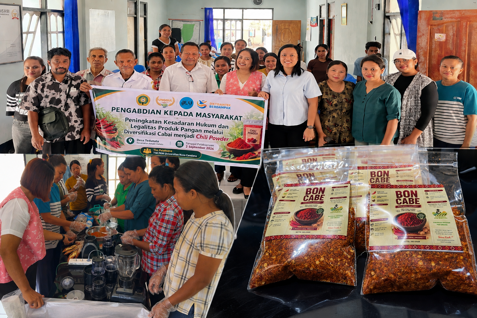 Tim PKM Undana Tingkatkan Kesadaran Hukum dan Ketrampilan Pengelolaan Cabai di Desa Tesbatan II